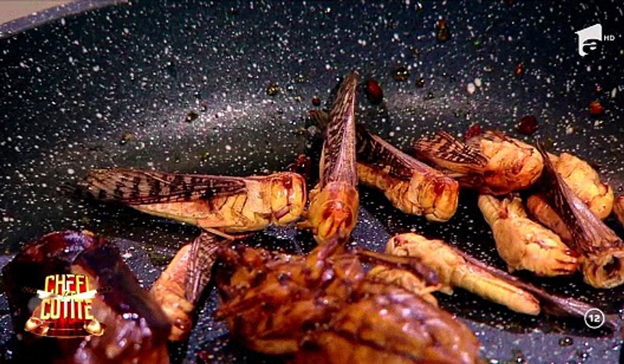 chef4