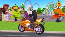 Dinosaurs Gorilla Elephant Bike Cartoons For Children | Funny Animals Short Movies For Babies