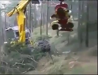 World most Amazing Videos -  Amazing tree cutting