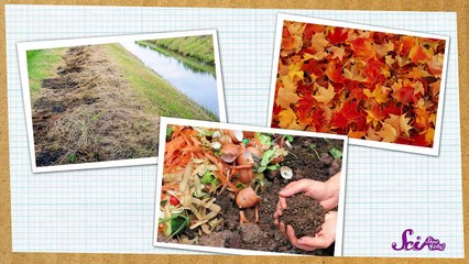 Men At Work - Down Under