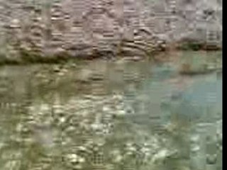 Balade