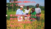 【朗報】海外「日本は俺達の希望だ」 アフリカの食を救う日本の支援に世界中から感謝の声！！アフリカの食を救うネリカ米！！！(2016.8.30)