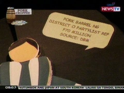 NTG: Pork Chopped, pagsiyasat sa pork barrel ng Kongreso