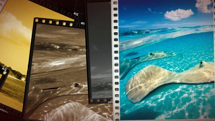 Grand Cayman Tourism