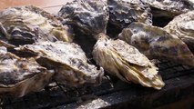 How Japanese eat oysters