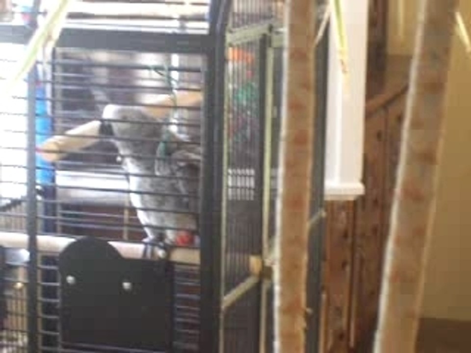 Comment a fait therese