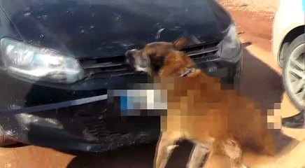 Bursa'da polisten kaçan şüpheliler kıskıvrak yakalandı