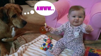 Quand Bébé et chien partagent tout - Compilation adorable