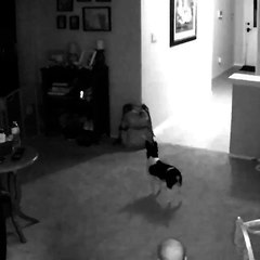 Cette maman se prend une énorme gamelle eb enjambant le parc du bébé