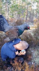 Quand un oiseau géant à décider de s'accoupler avec toi.. FAIL