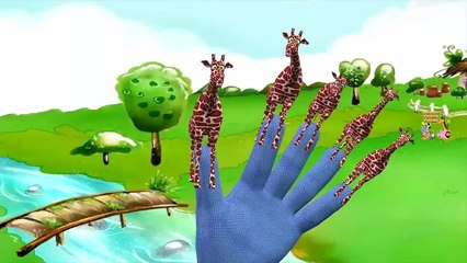 White Tiger Finger Family Nursery Rhymes For Children | Tiger Cartoon Finger Family Rhymes