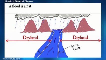 Flood A Natural Disaster | Environmental Science | EVS | LetsTute