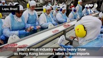 Hong Kong import ban deals Brazil meat industry big blow