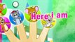 #Peppa Pig #Sea #Finger #Family #Lollipop / Nursery Rhymes Lyrics and more Peppa Pig Frien