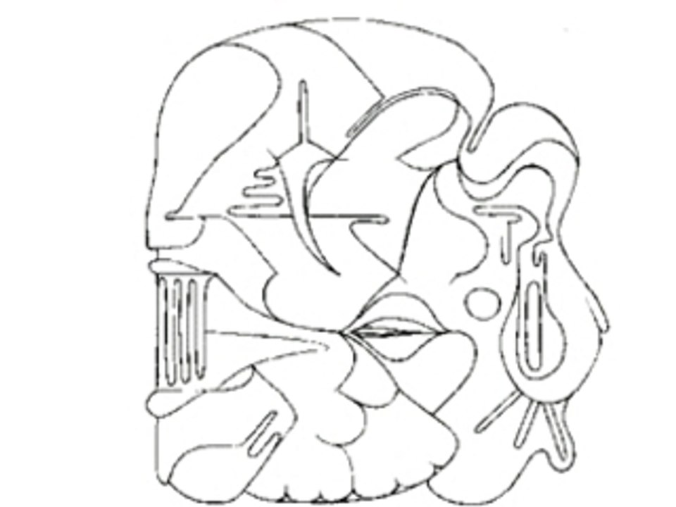 MasK