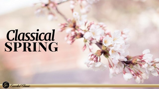 Презервативы классические. Поддержка рокстар. Презервативы spring contour №3. Презервативы spring aromantic. Jsab лого.