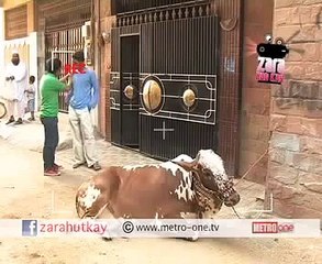 Pakistani Funny Videos ZARA HUT KAY   PARTITION