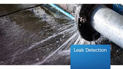 Integrity Repipe Inc : Leak Detection