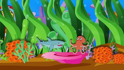 Finding Dory Lollipop Finger Family Song & More Nursery Rhymes Whith Lirycs