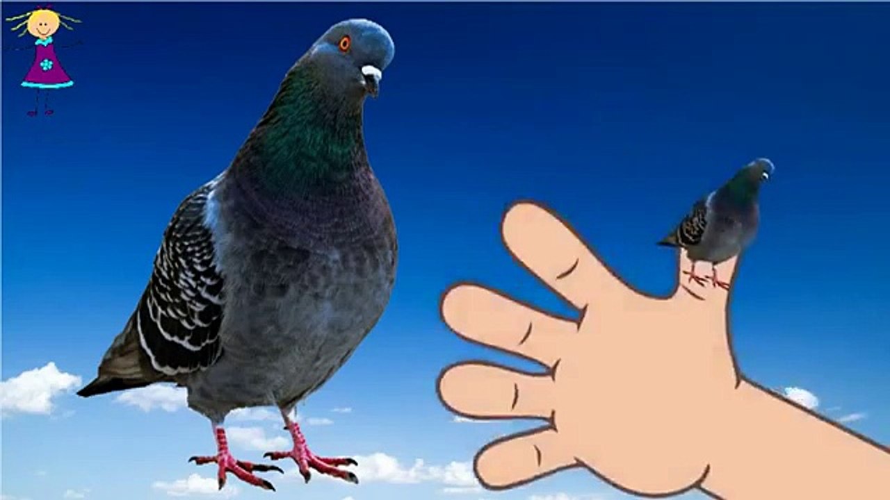 CRAB Finger Family Nursery Rhyme | Animated 2D King Kong Song for Kids