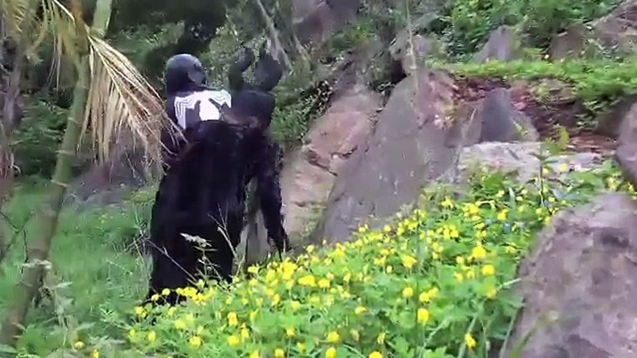 И Анна Эльза замороженный замороженные килектор Это поцелуи розовый Девушка-паук человек-паук
