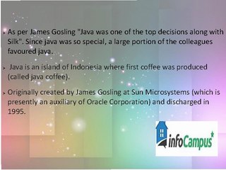 Java History: How Java is started?
