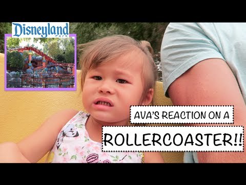 2-Year-Old's First Roller Coaster Ride Makes for Brilliant Viewing