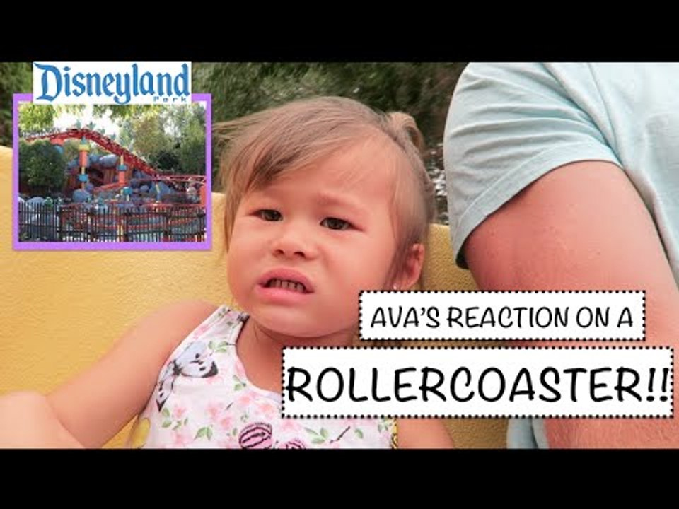 2-Year-Old's First Roller Coaster Ride Makes for Brilliant Viewing