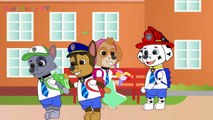 Paw Patrol Baby Sore Eyes During Games in the Night Full Episodes!