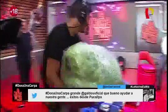 “La Noche Es Mía” inicia campaña para recolectar carpas en favor de damnificados