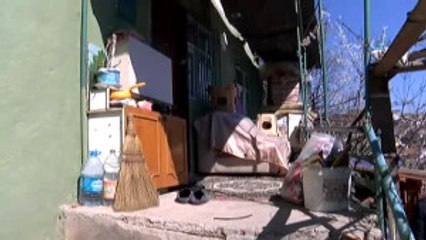 Kekik Sanıp Mangalda Pişirdiği Bonzai Öldürdü