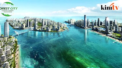 What you need to know about Forest City