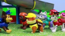 Paw Patrol Robo Dog Goes to Space and Rescued by Air Patrol Air Pups and Skye Rocket Ship
