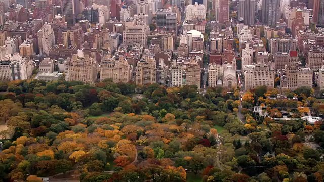 Carrie Pilby online cały film HD lektor PL (link w opisie)