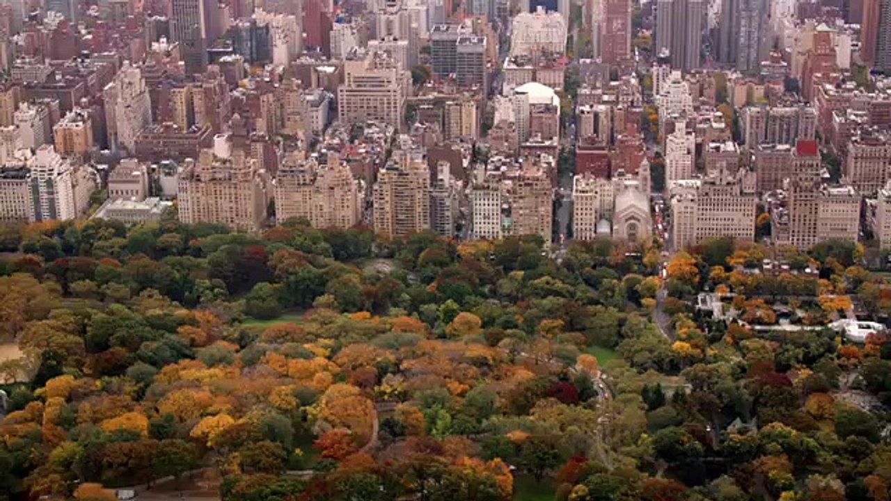 Carrie Pilby online cały film HD lektor PL (link w opisie)