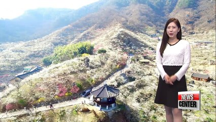 Thursday to get brighter and milder