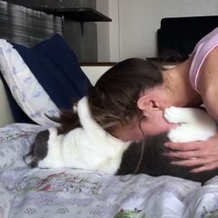 ‪Happy Cats - Belly kisses ‬