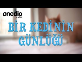 Bir Kedinin Günlüğü