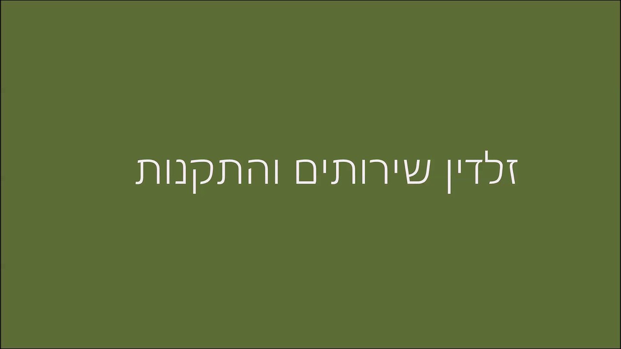 זלדין שירותים והתקנות - קודן מקצועי לרכב