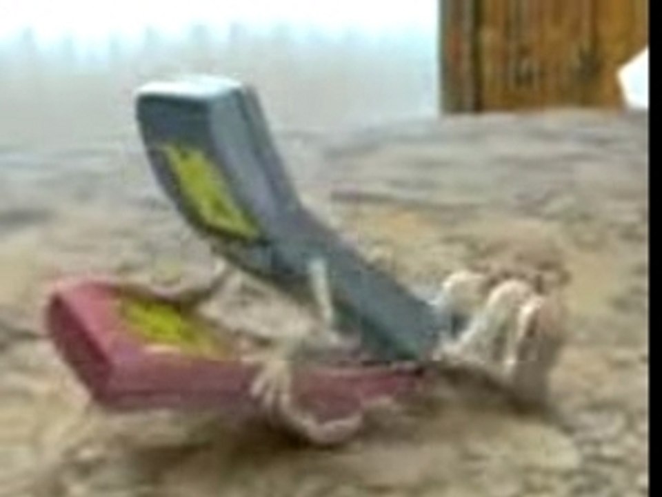 nokia son