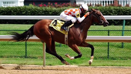 Un cheval se met à courir avec un cavalier pas assez expérimenté (POV)