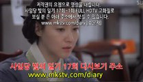 사임당 빛의 일기 17회 170322