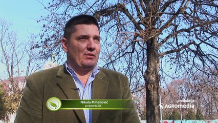 Pitali smo vas: šta očekujete u 2017. godini?