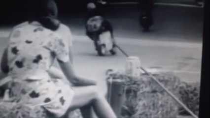 Τα Παιδιά της Παλαιότητας - Το Μόνο Ψέμα που Αγαπώ