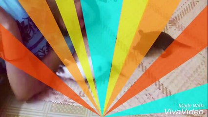 Cats are so funny you will die laughing - Funny cat compilation