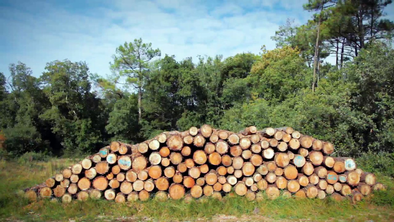 Bois-énergie Olonne sur Mer (85)