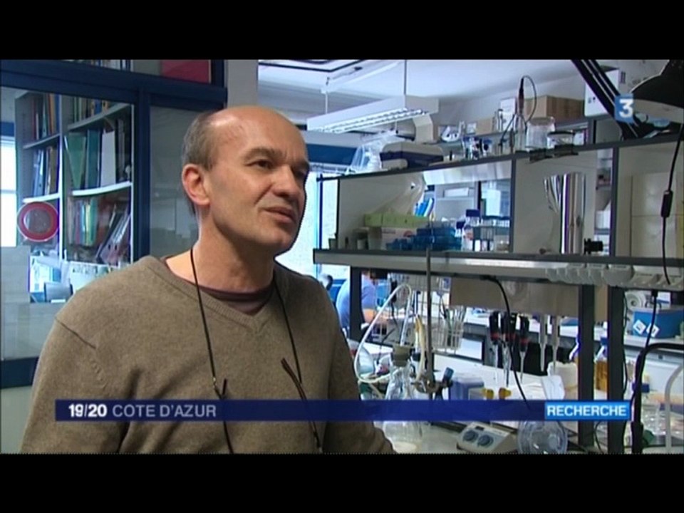 LE CNRS fête les 10 ans de l'ERC en Côte d'Azur