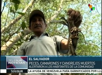 El Salvador: denuncian desastre ecológico en estero de Jaltepeque