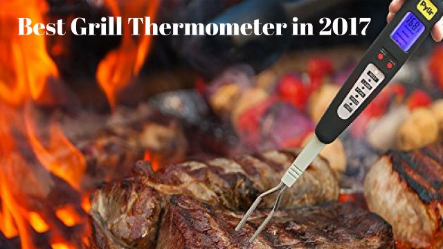 Top 5 Best Grill Thermometer in 2017 | Grill Thermometer Review