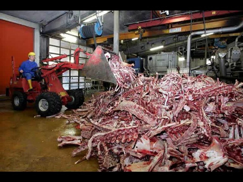 WAS IST IN DER WURST? oder Wie MAN AUS SCHEISSE WURST MACHT!